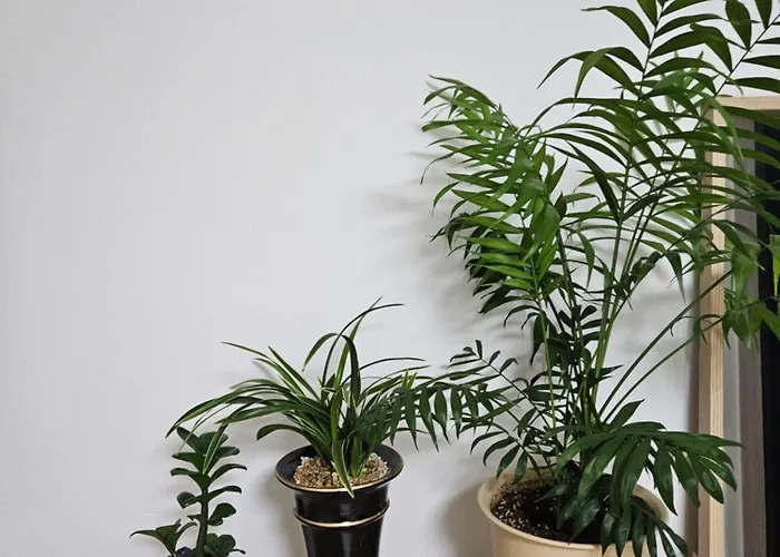Hongdae Ssuny House 招待所 首爾