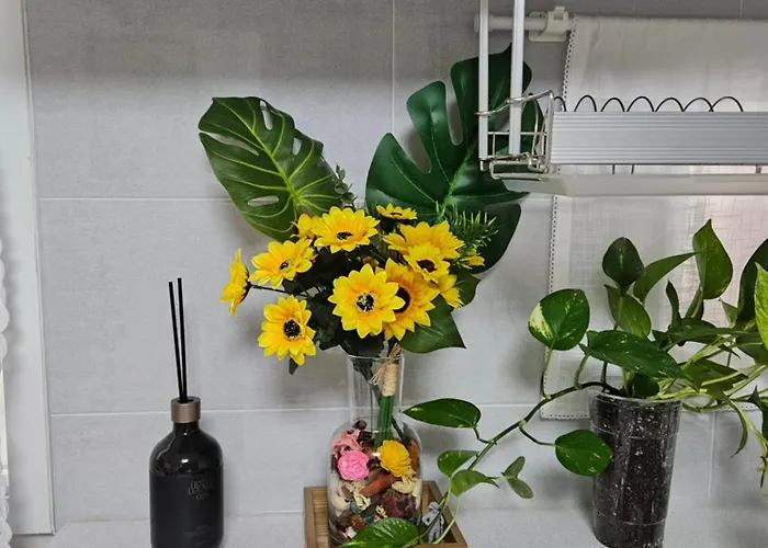 招待所 Hongdae Ssuny House