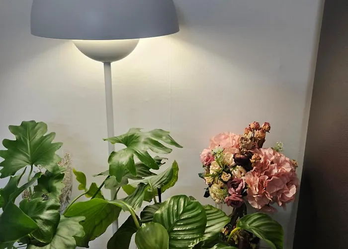Hongdae Ssuny House 4*
